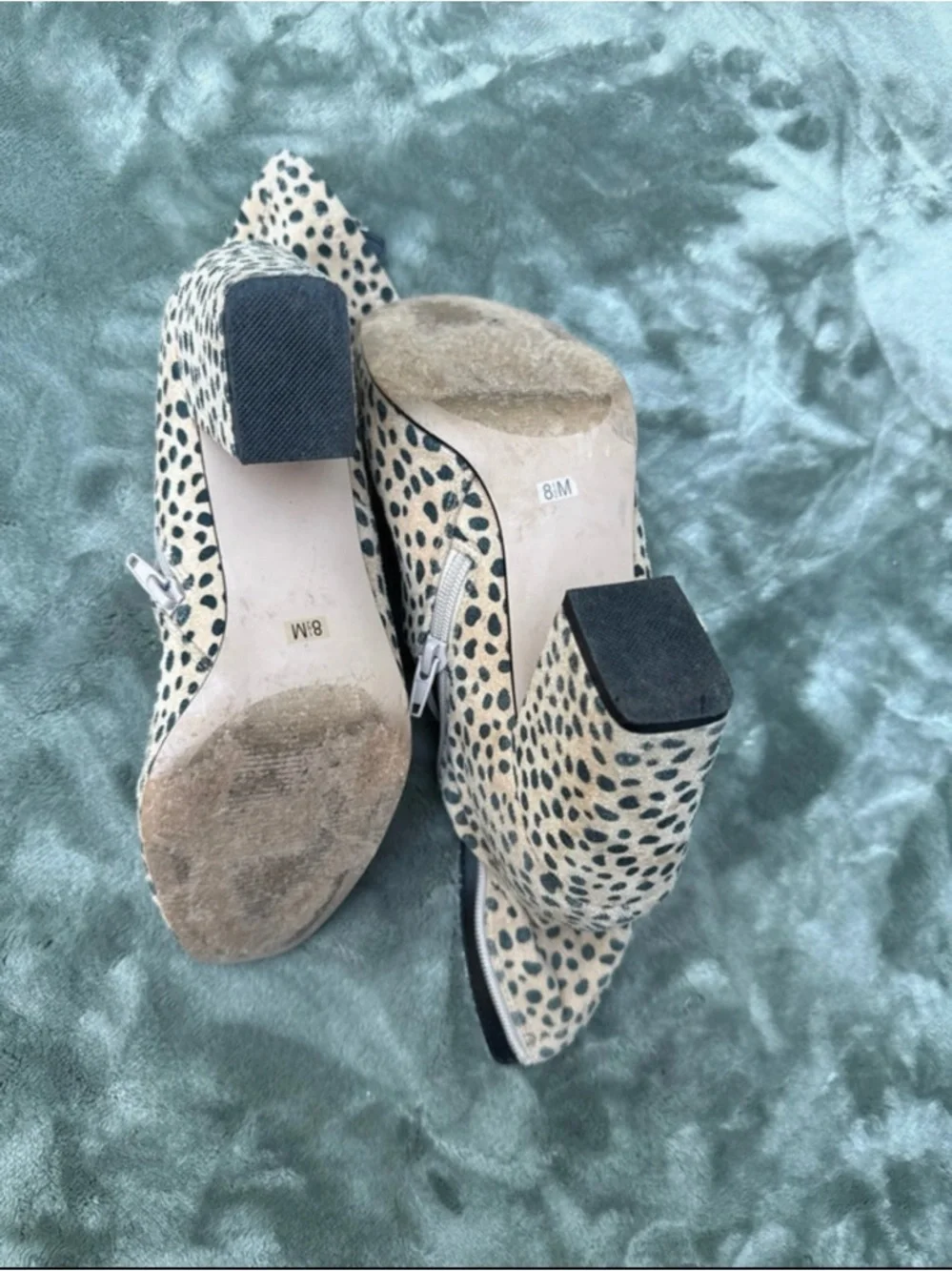 Steve Madden Cheetah Spot Ankle Boots in Cream & Black